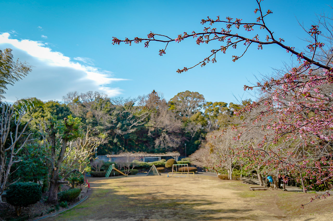 荒井城址公園