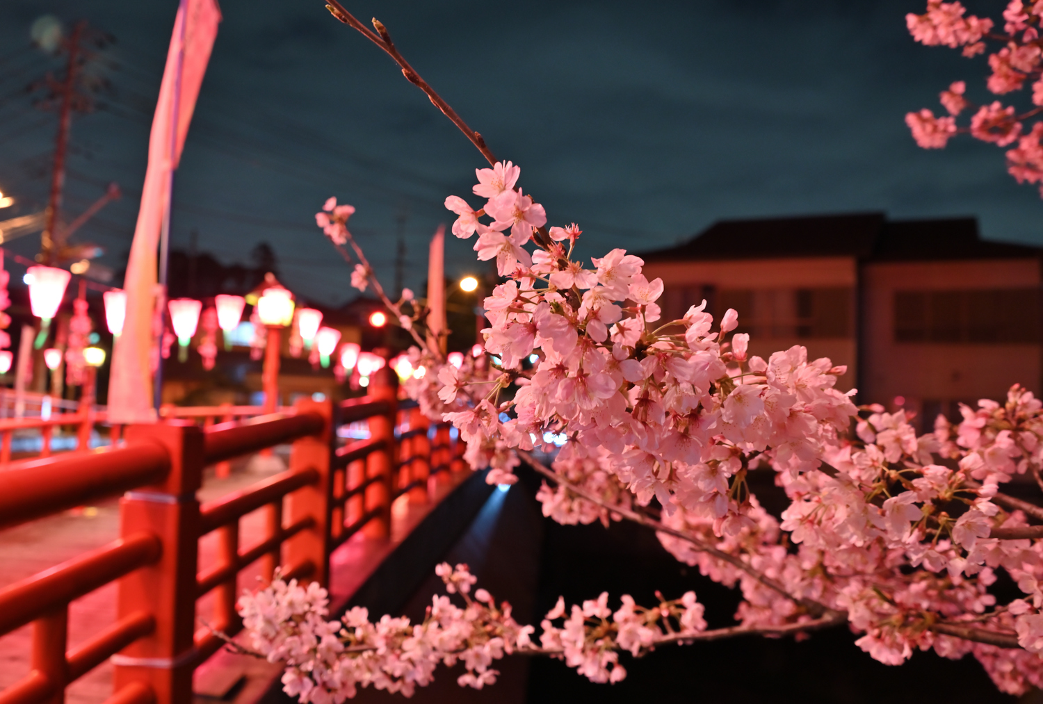 あつぎ飯山桜まつり