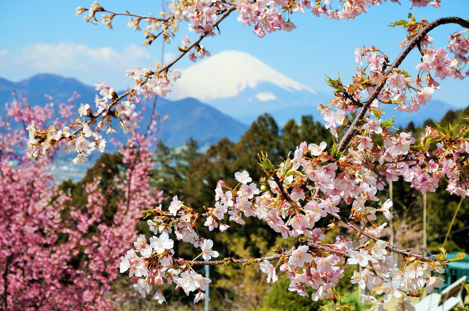 あぐりパーク嵯峨山苑