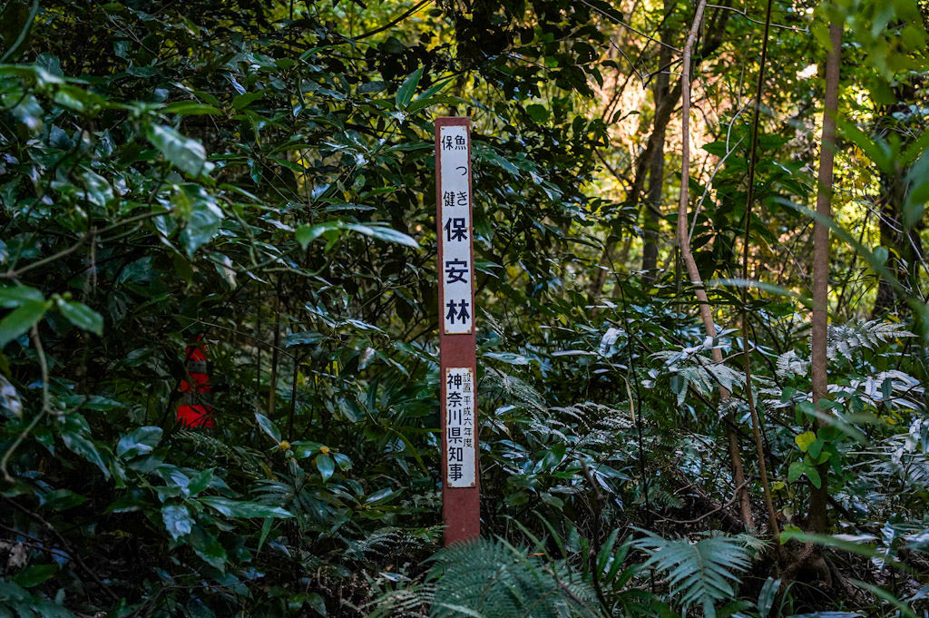 Manazuru Ohayashi2