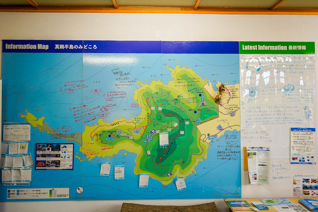 Cape Manazuru5