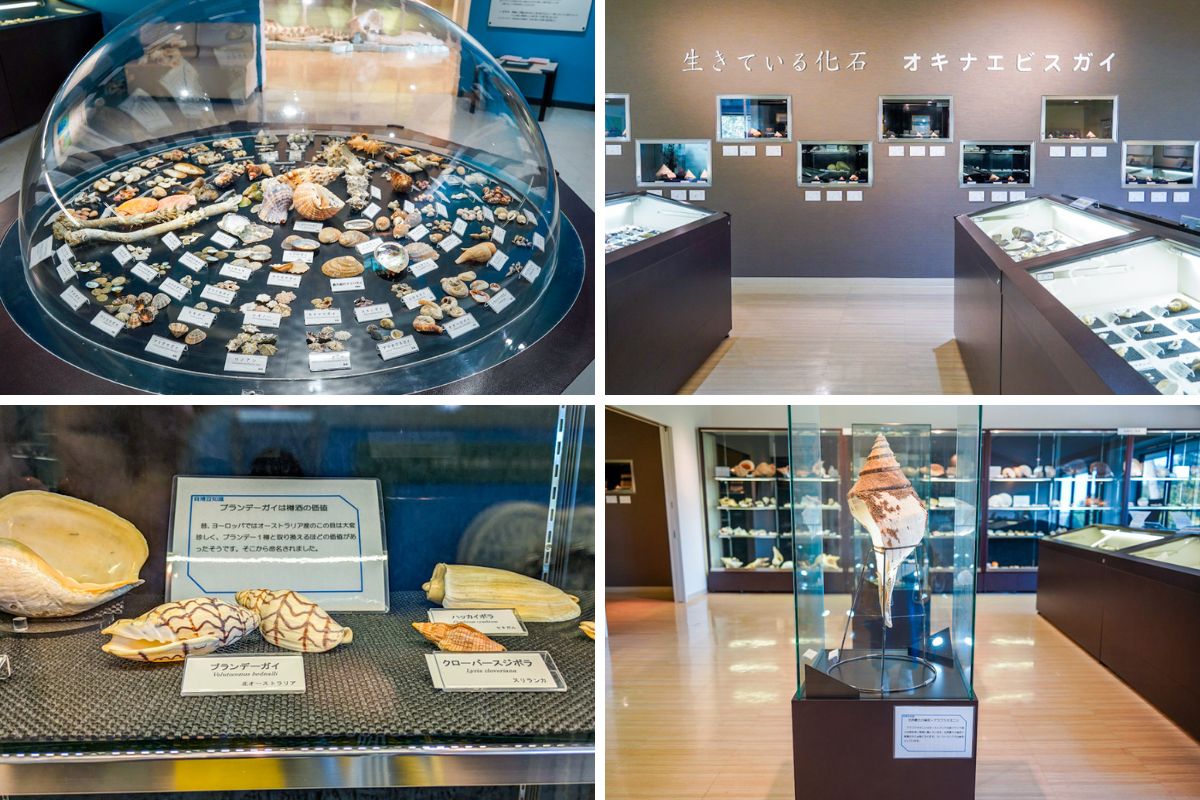 Endo Kairui museum4−2