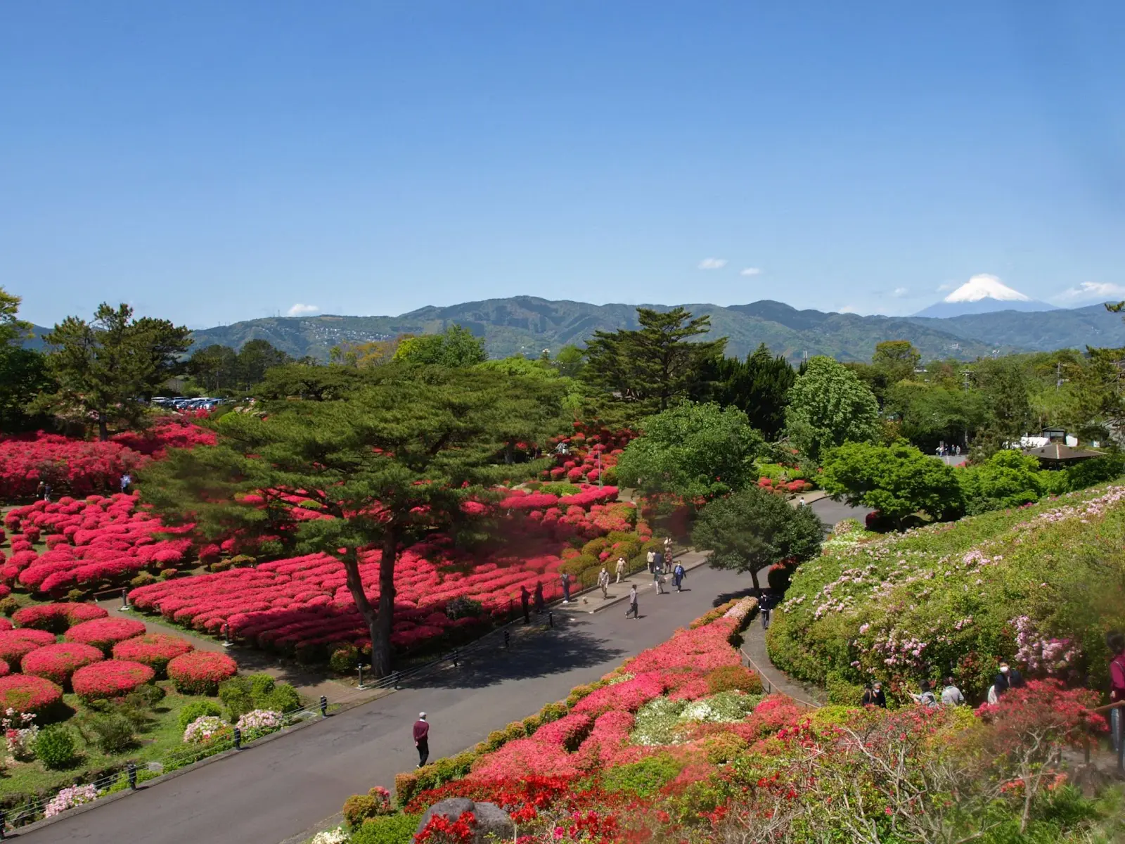 小室山