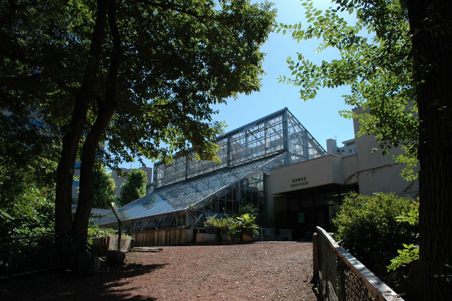 北海道大学植物園