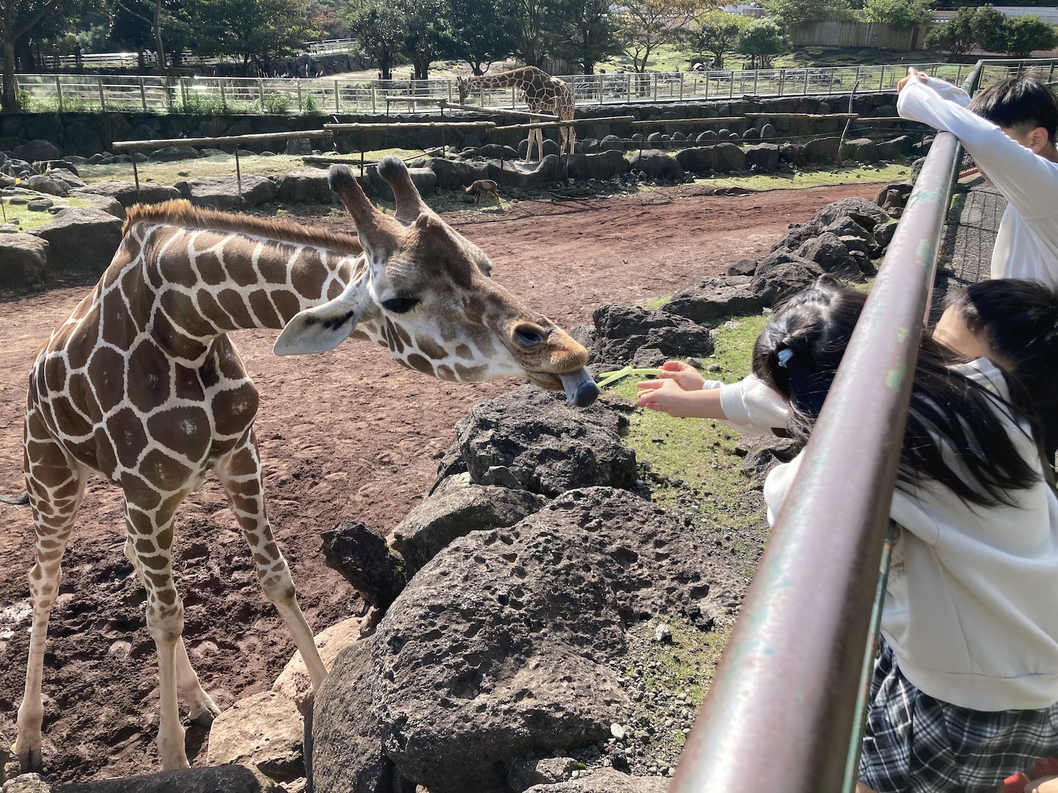 伊豆アニマルキングダム