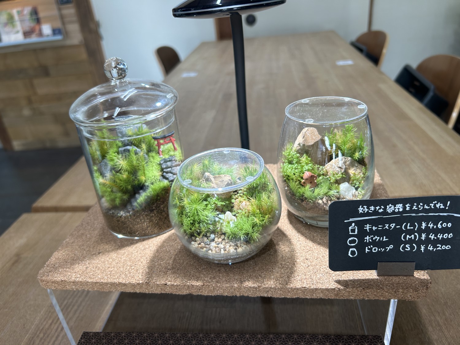 苔むすび4
