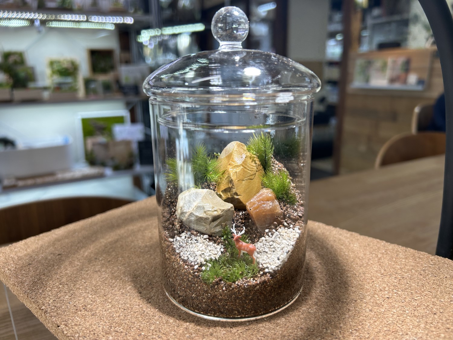 苔むすび11