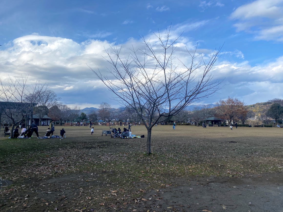 上府中公園の芝生広場