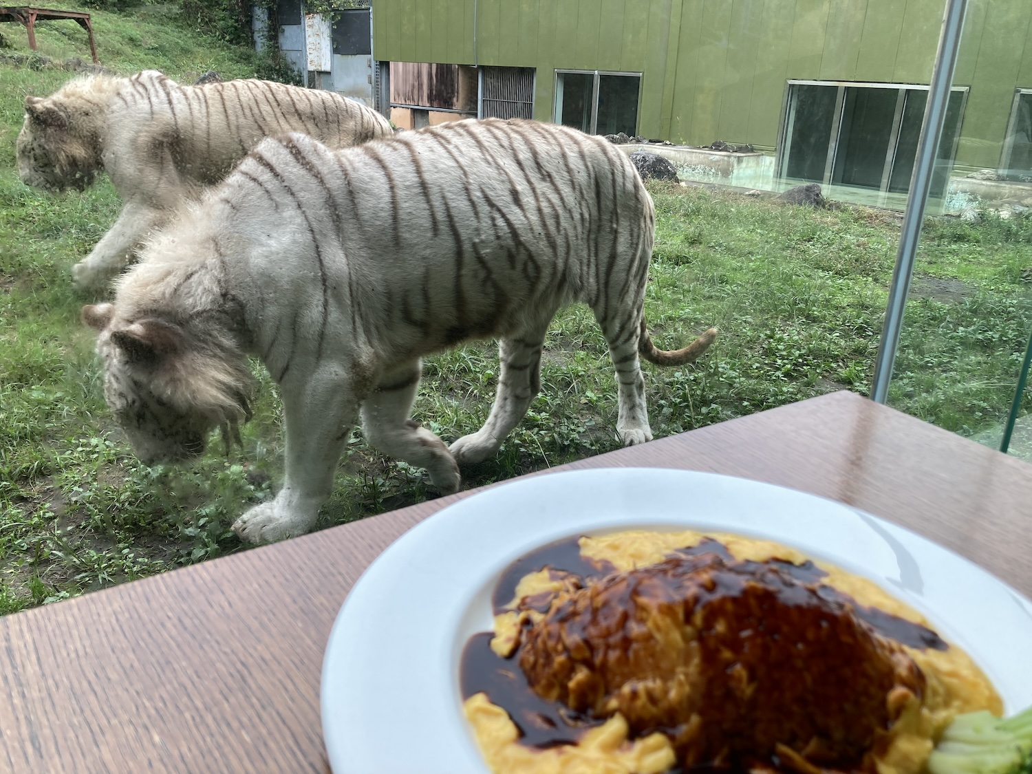 アニマルキングダムレストラン