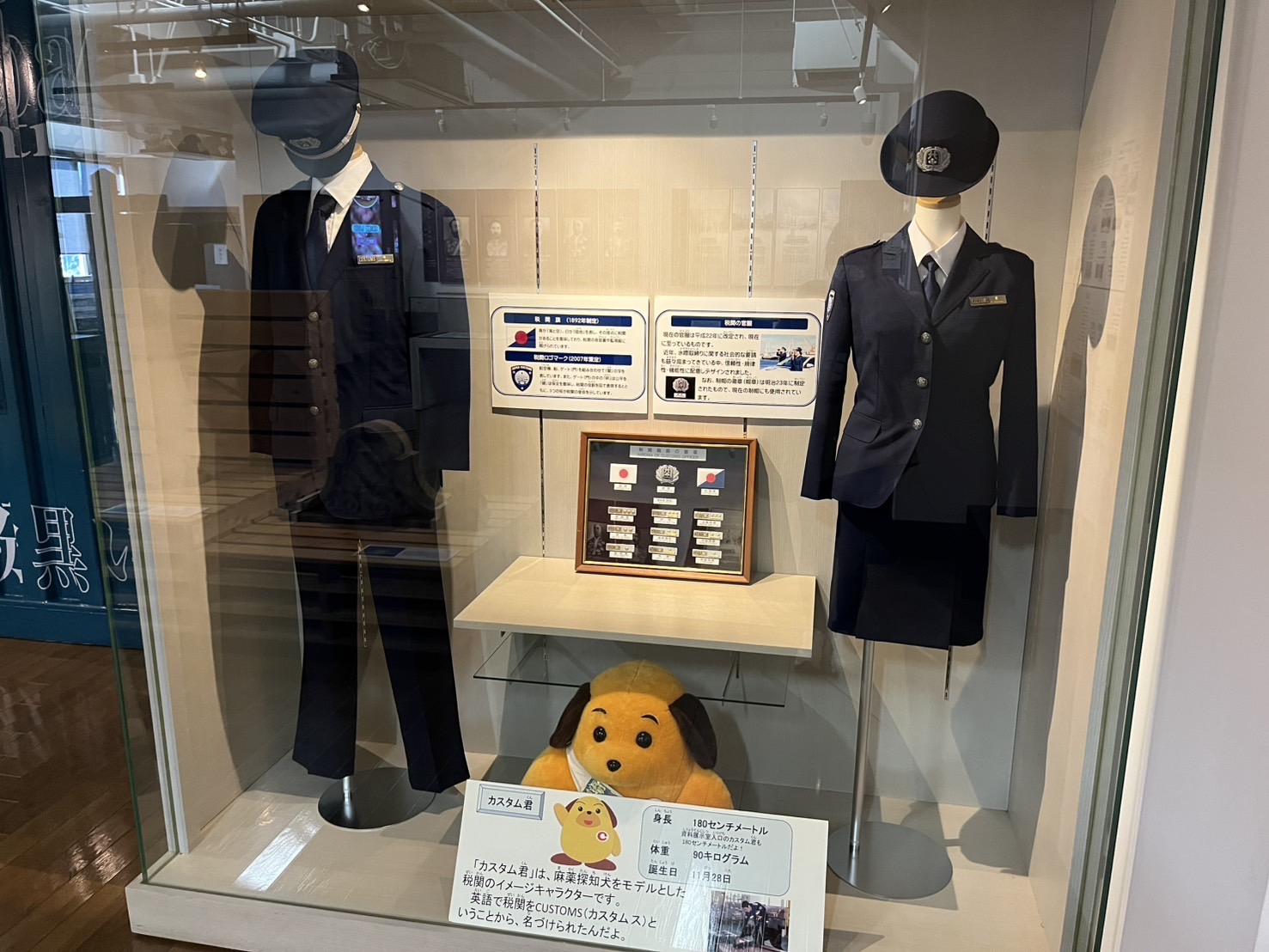 公式ユニフォーム