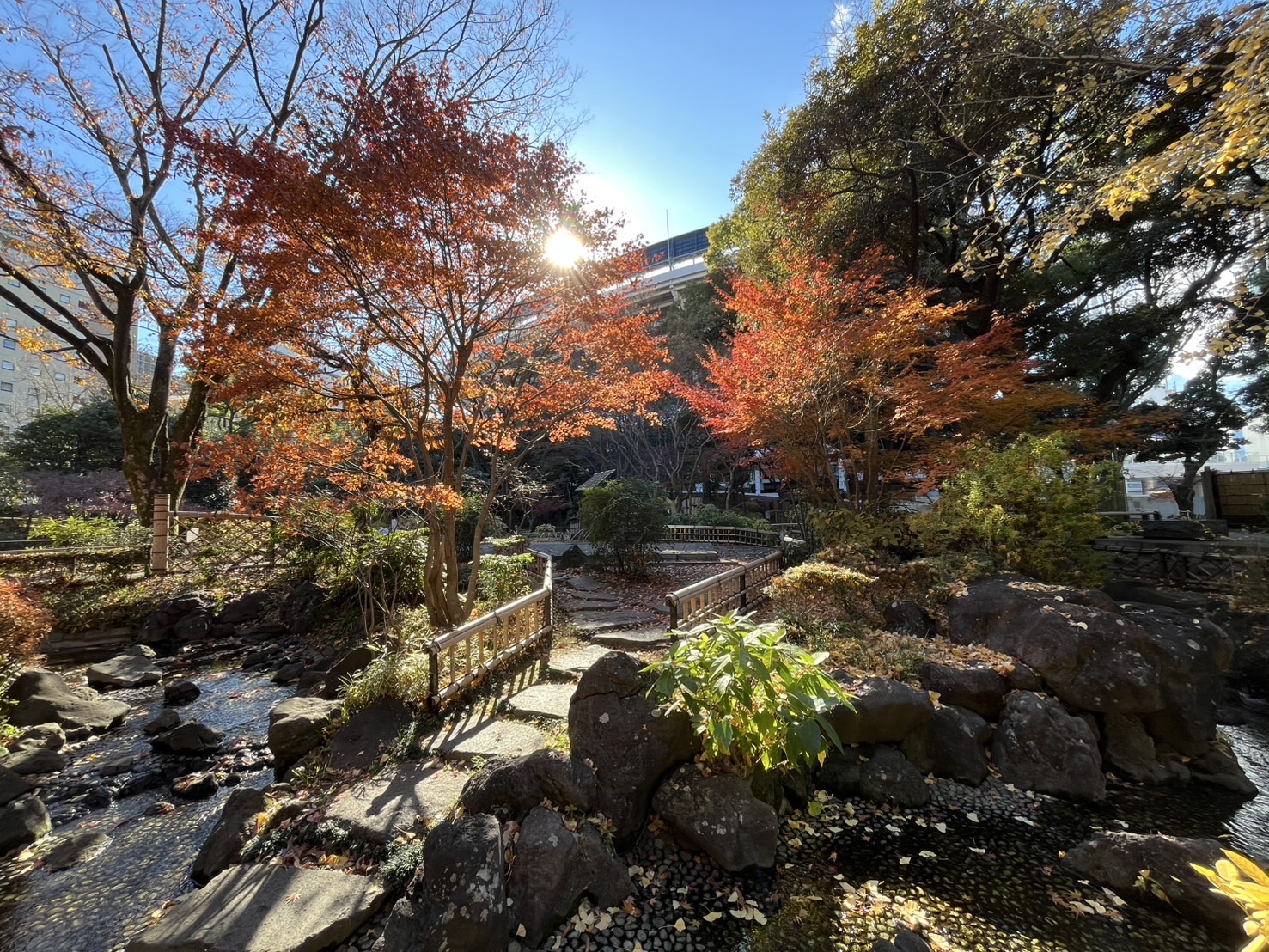 彼我庭園の中