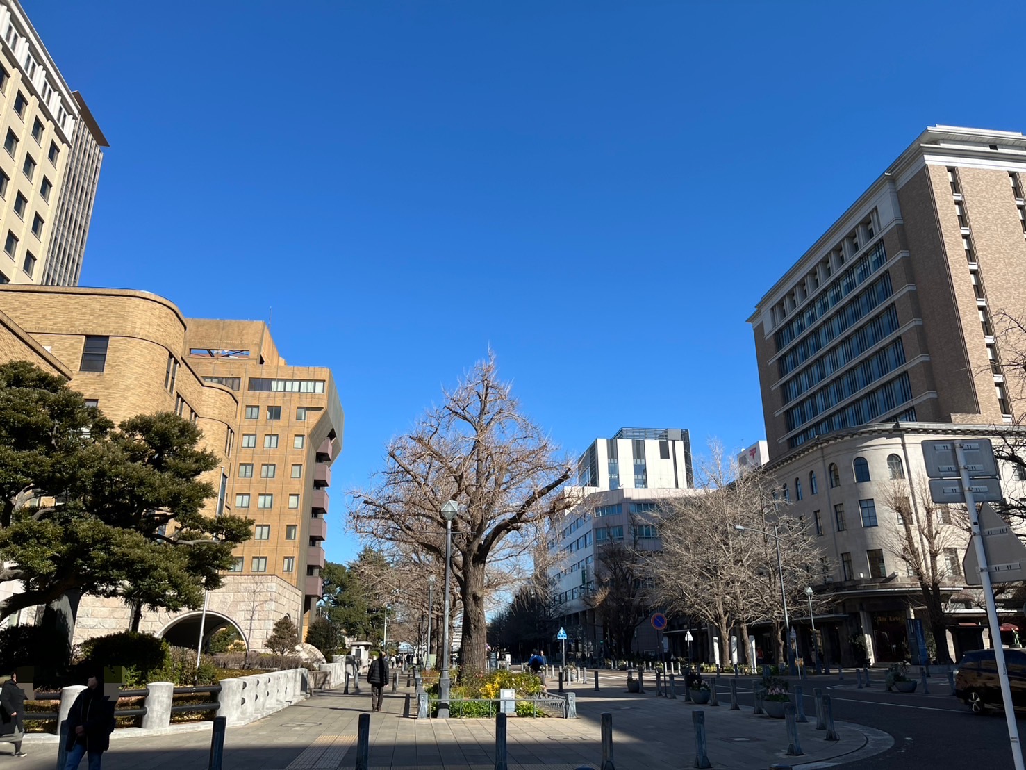 日本大通り
