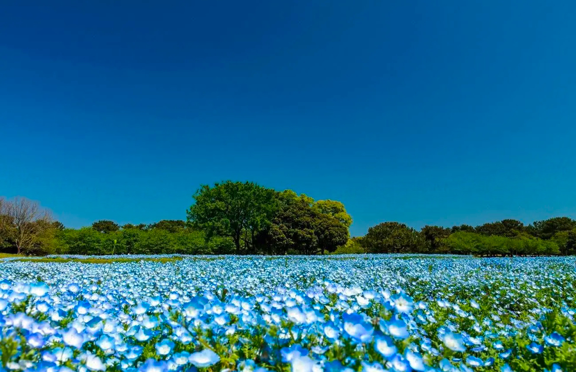 福岡_デート_海の中道海浜公園