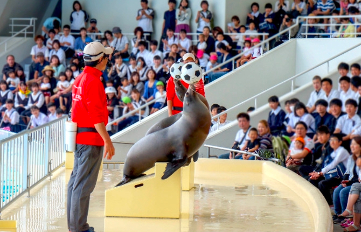 福岡_デート_マリンワールド海の中道