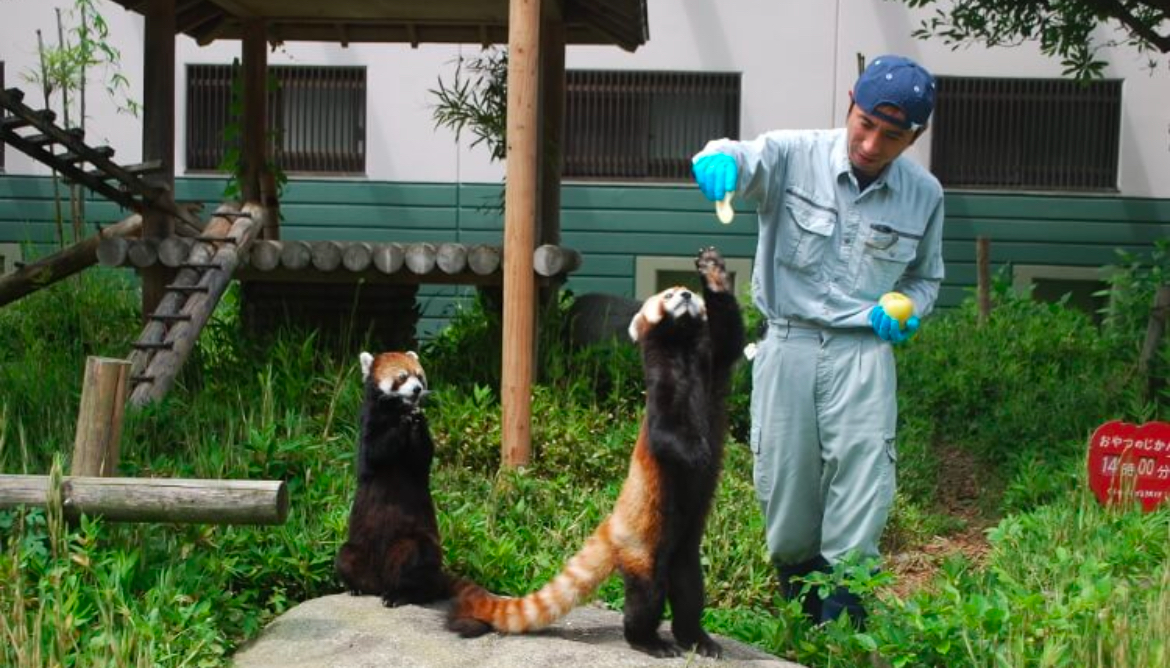 福岡市_デート_福岡市動植物園