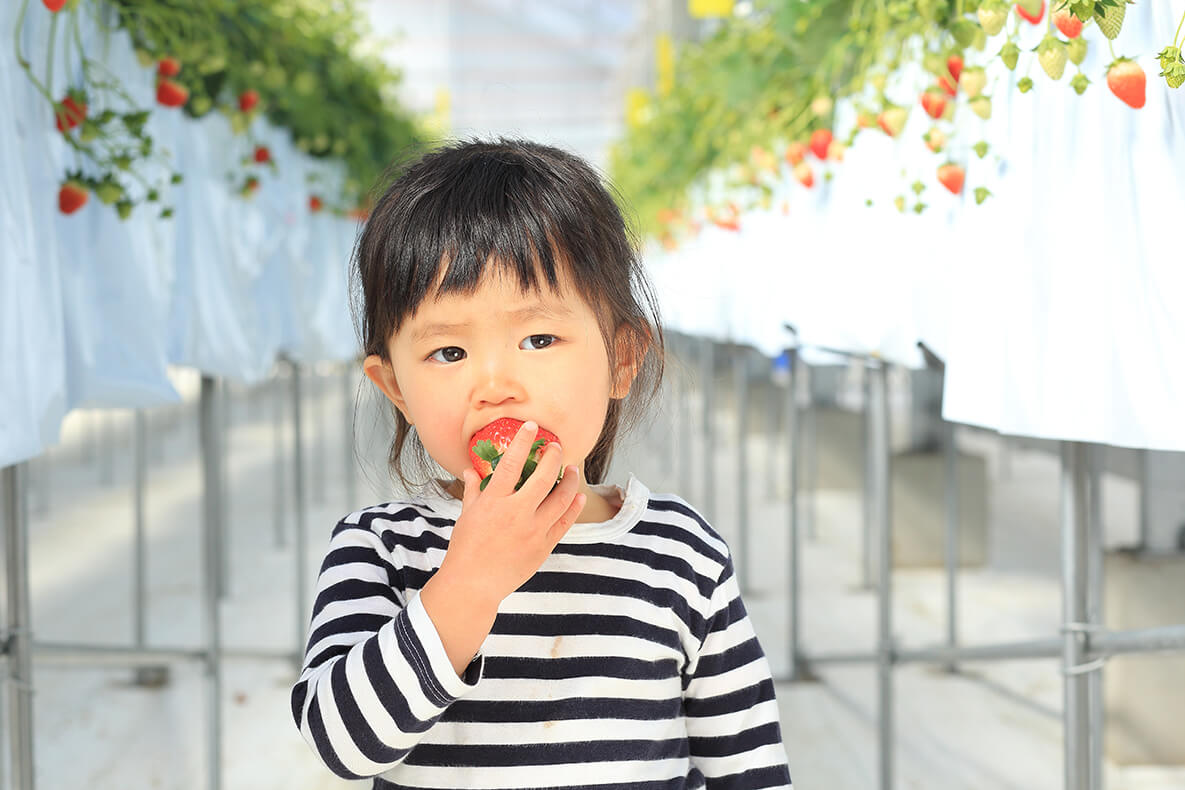 the BERRY YOKOHAMA