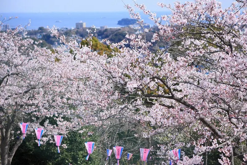 横須賀の衣笠山公園