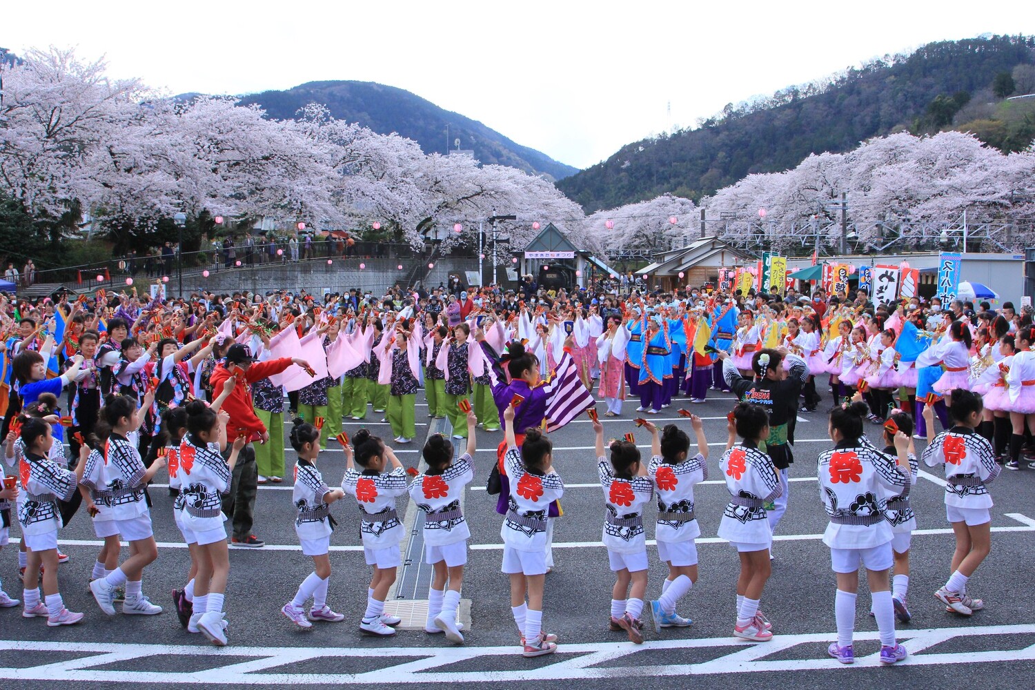 ソーラン山北よさこいフェスティバル