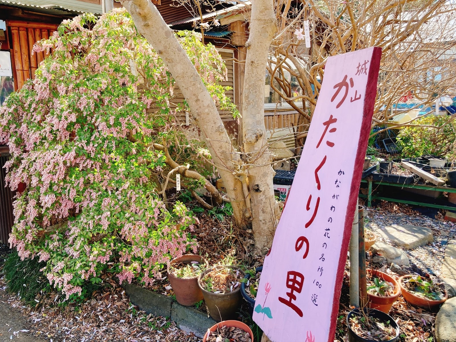城山かたくりの里