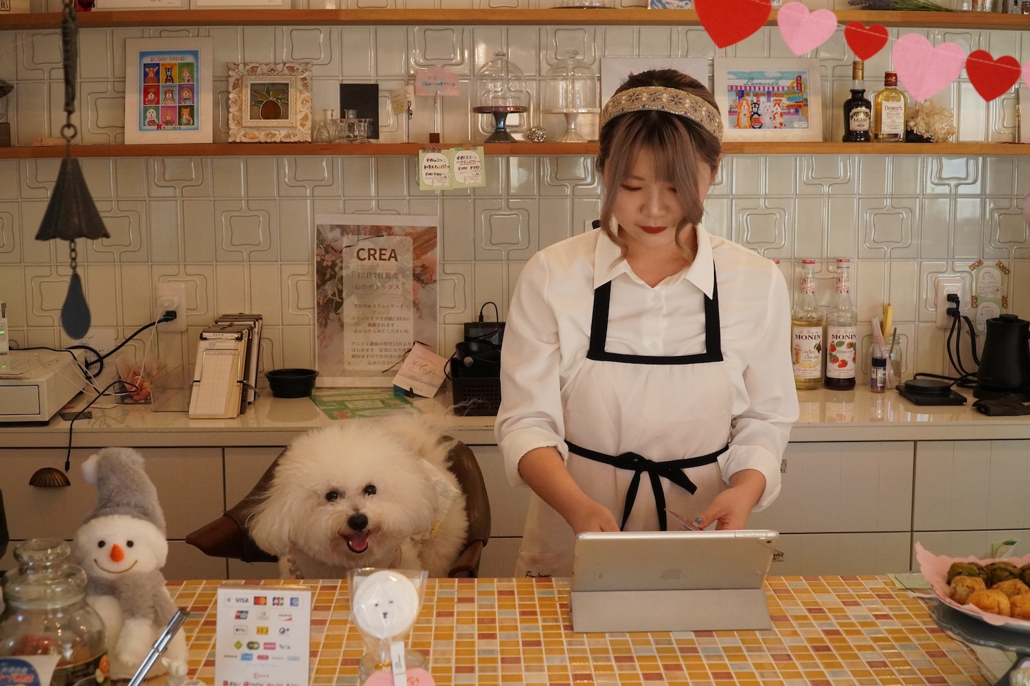 カフェチャモネ＿看板犬