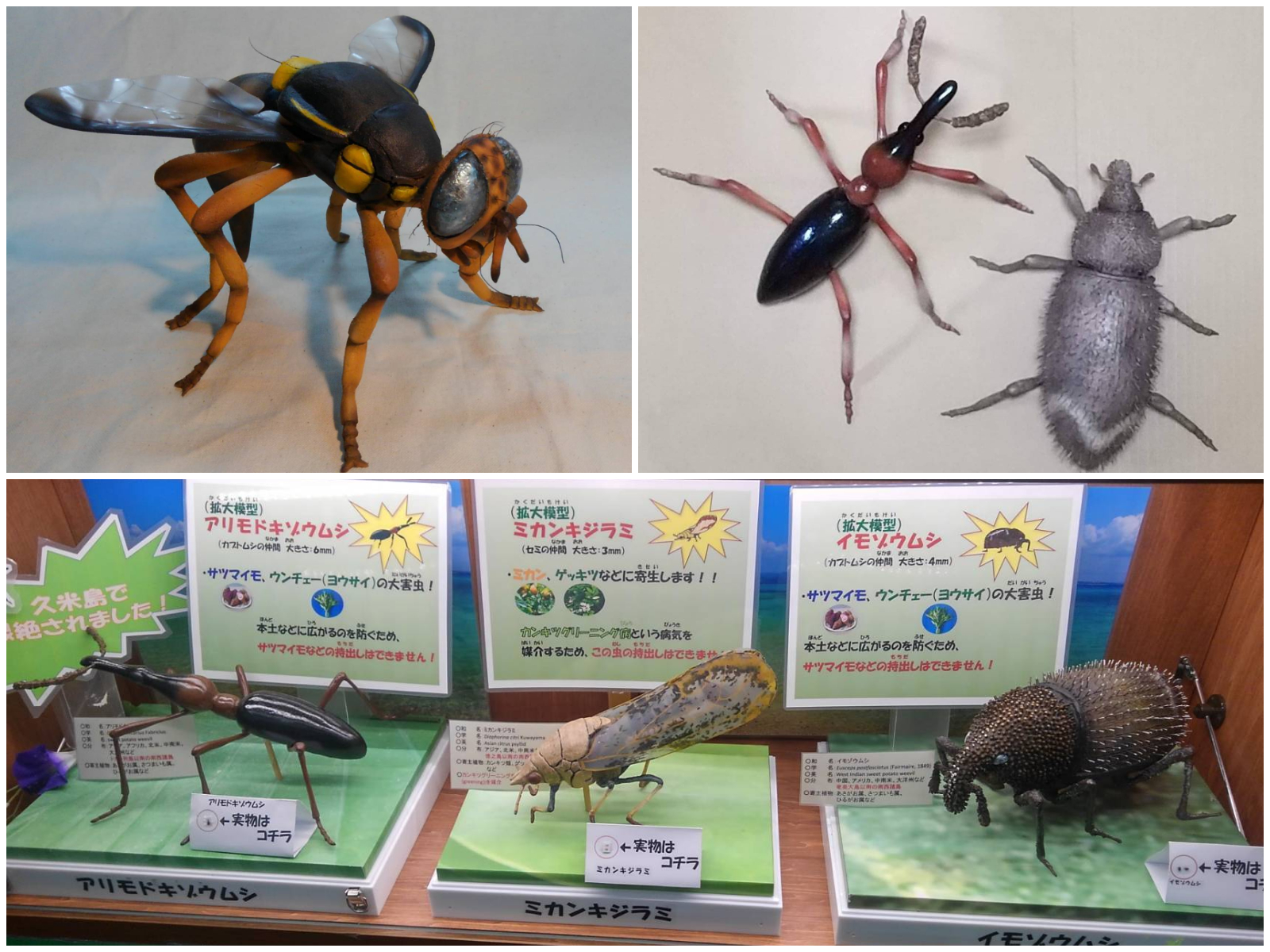 石塑粘土のほか、犬の毛や針金などを使って精巧に製作