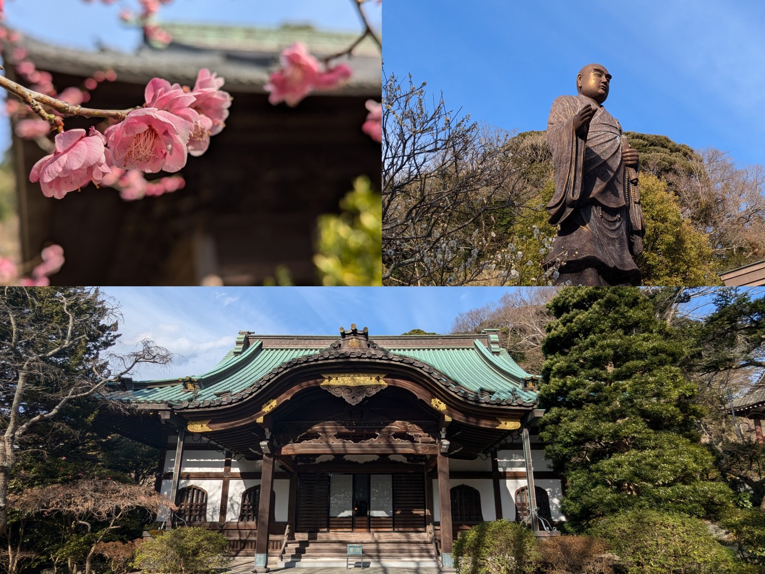 妙本寺　本堂　日蓮上人像