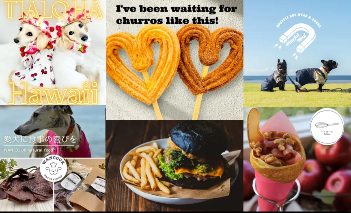 BAY WALK MARKET 2025_横浜赤レンガ倉庫_MARINE & WALK YOKOHAMA_横浜ハンマーヘッド_DREAMDOOR YOKOHAMA HAMMERHEAD