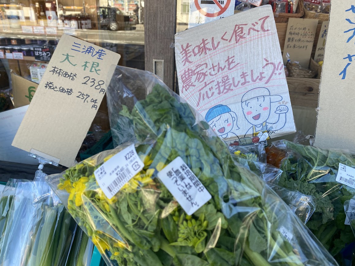 旬の菜の花