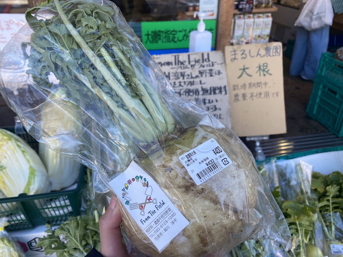無農薬の聖護院大根