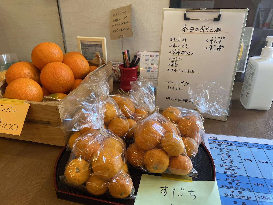 ひじかたかんきつえんの柑橘メニュー