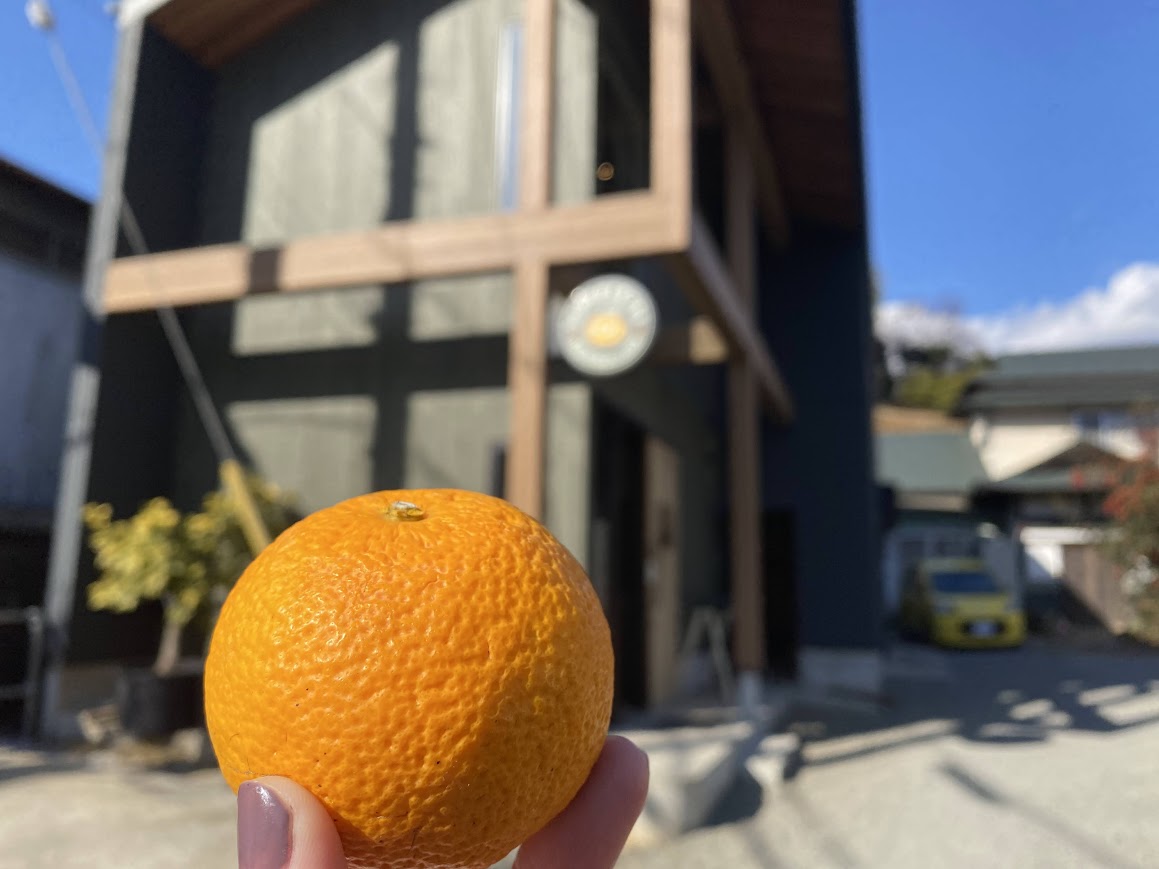 ひじかたかんきつえんのみかん