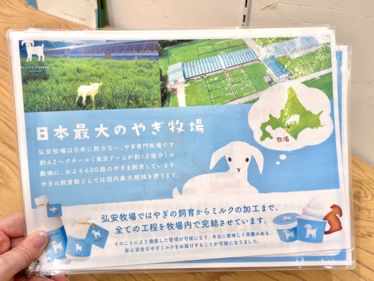 プティシェーヴルパンフレット