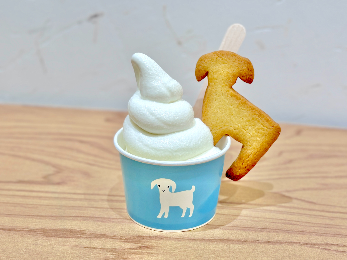 プティシェーヴルやぎミルクのソフトクリーム