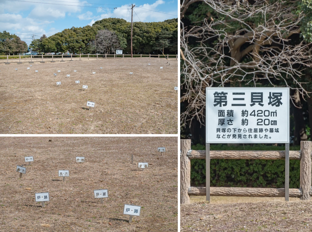 蜆塚公園_貝塚
