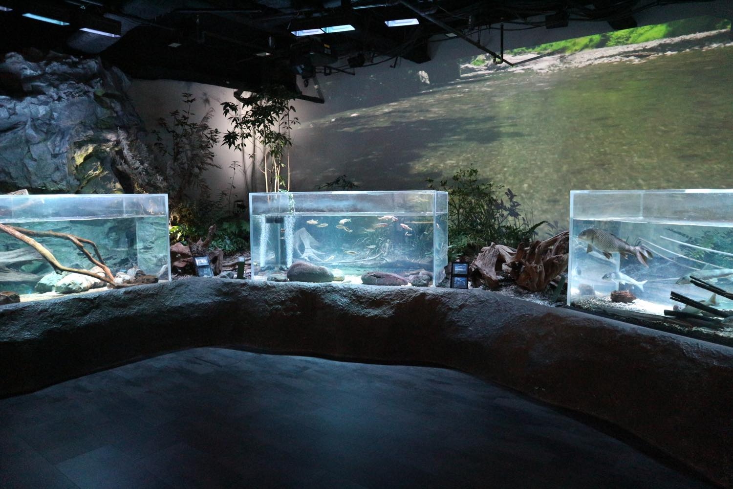 カワスイ 川崎水族館