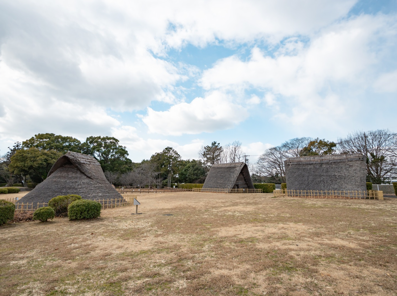 蜆塚公園_風景