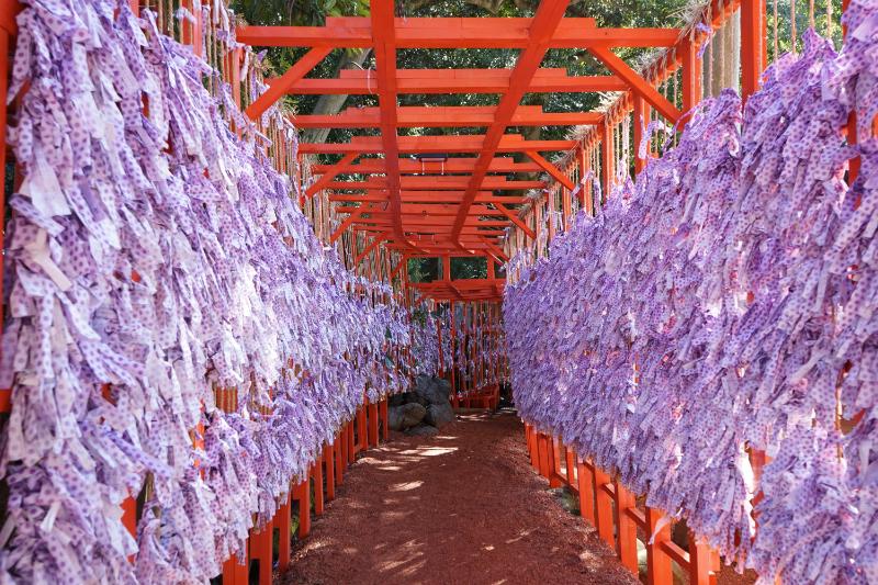 石浦神社おみくじ2