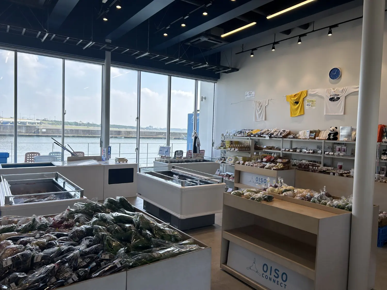 OISO CONNECT
