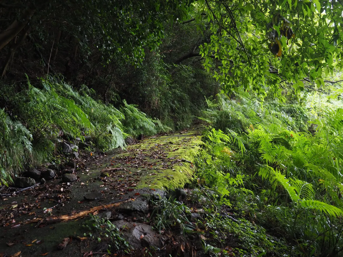 土肥温泉ハイキングコース