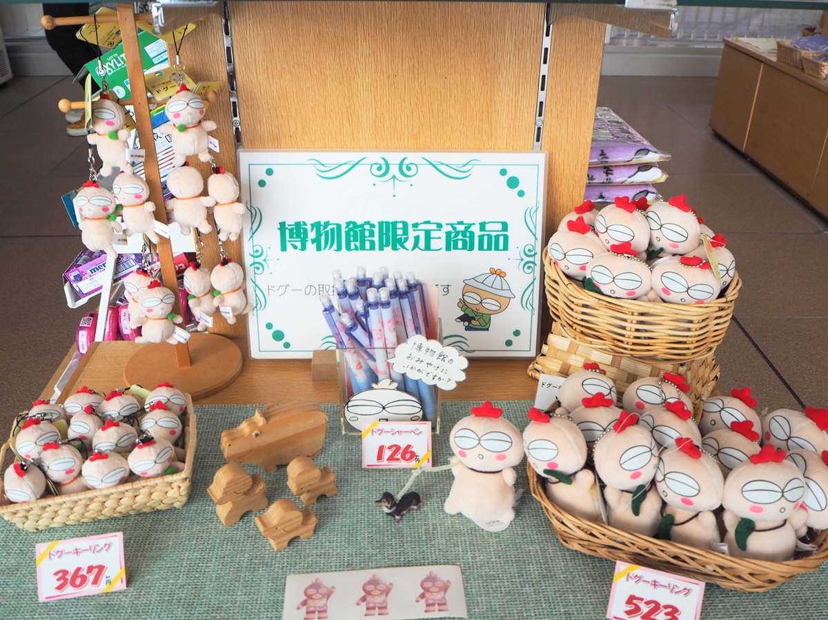 旭川市博物館売店