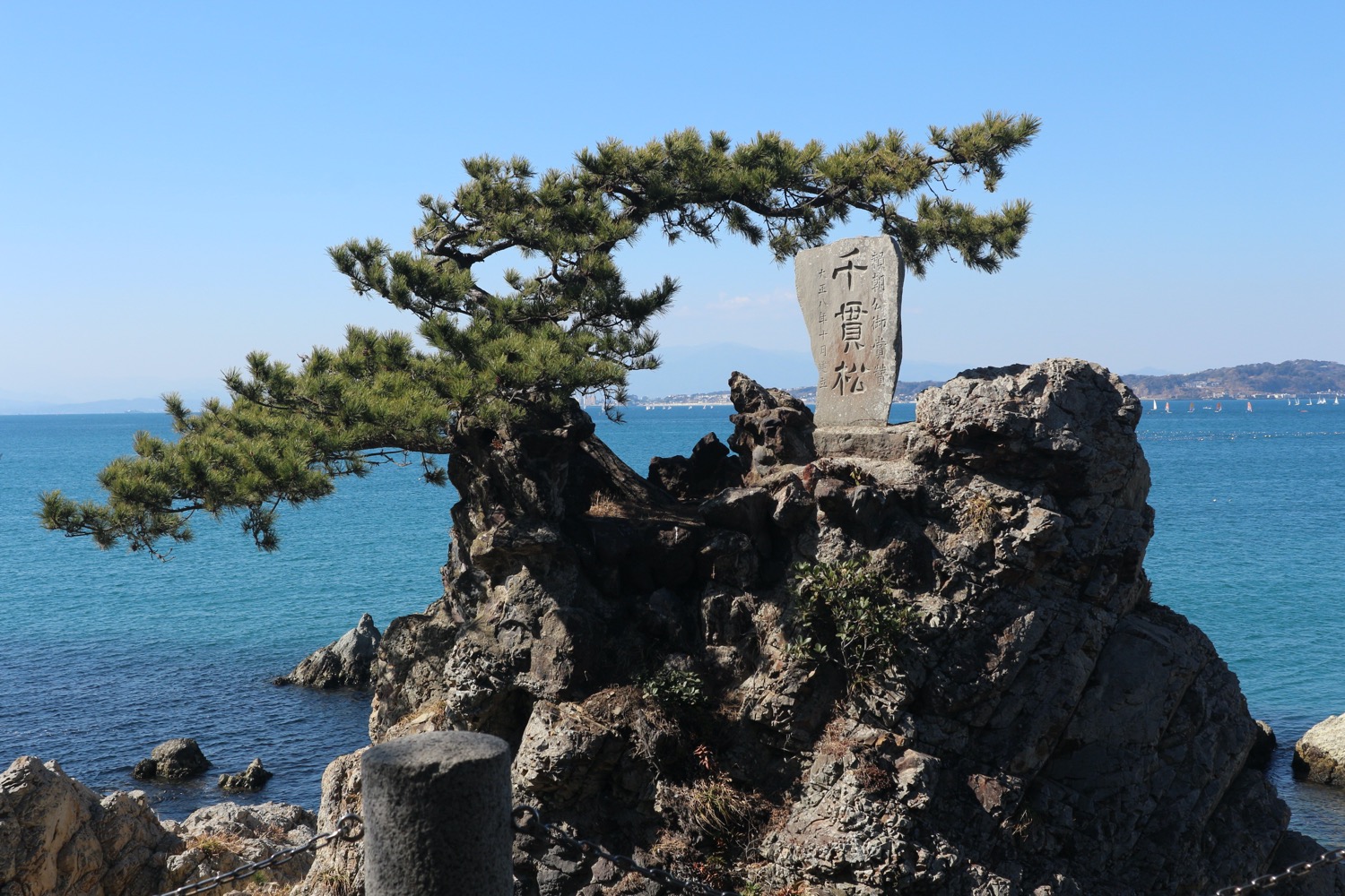 千貫松