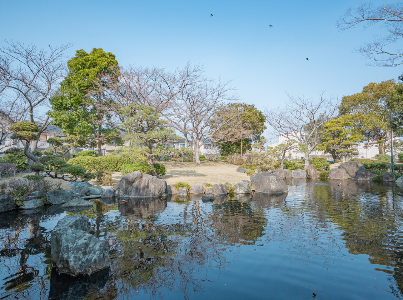 中根金作_庭園