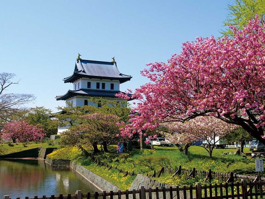 松前城_桜