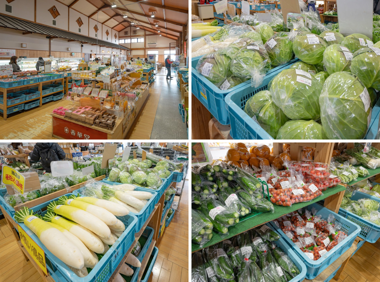 道の駅潮見坂_売店