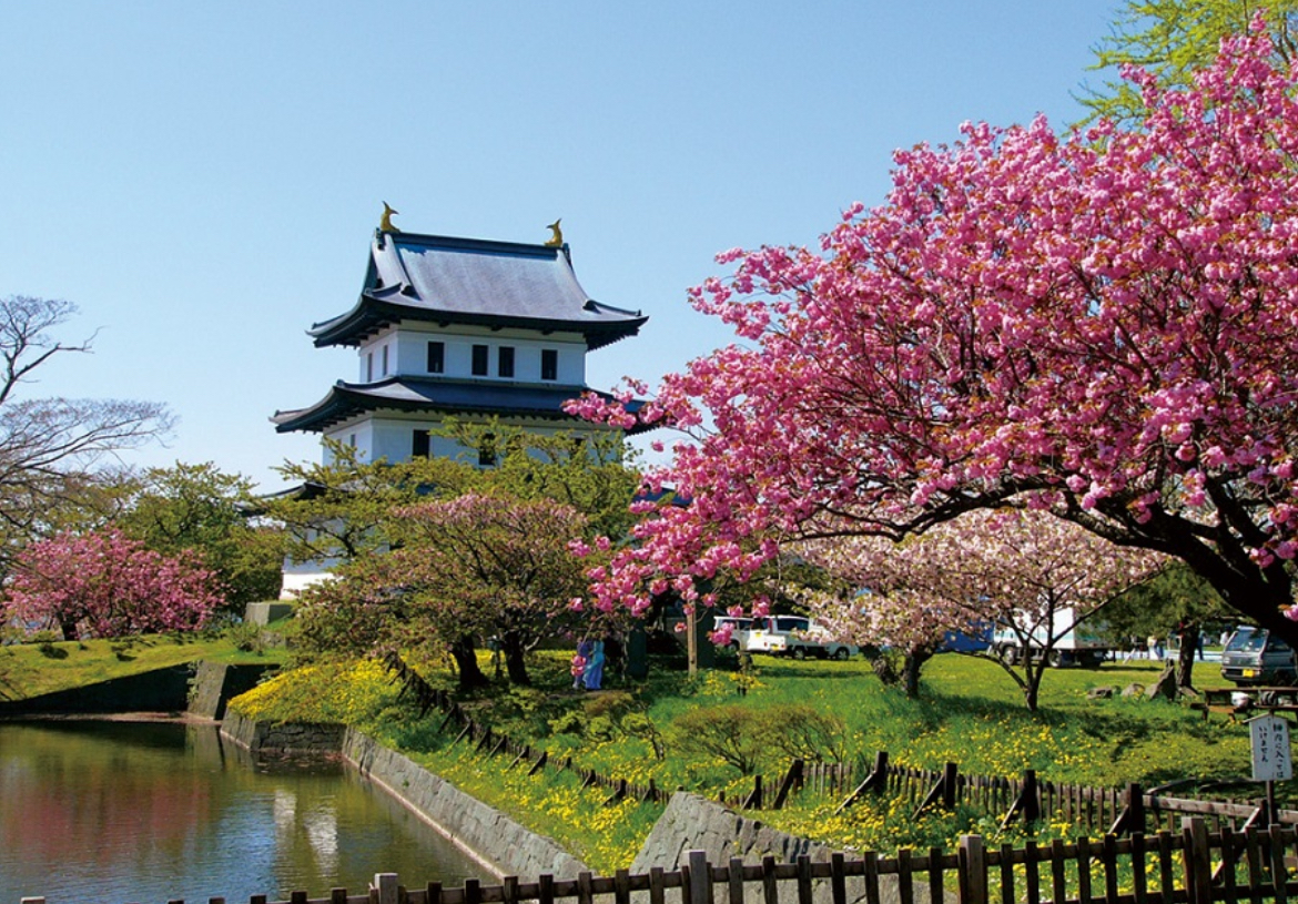 北海道_桜_松前郡_松前公園_さくらまつり