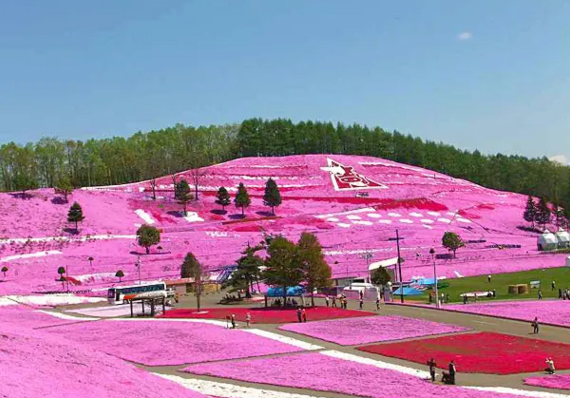 北海道_網走_桜_ひがしもこと_東藻琴芝桜公園