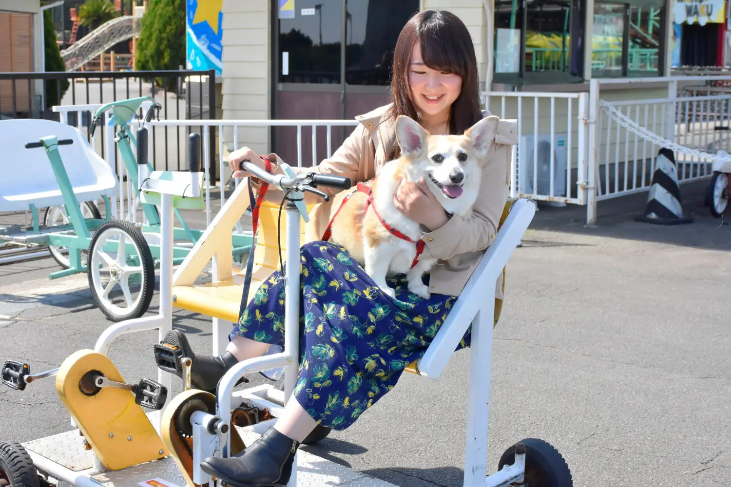 伊豆ぐらんぱる公園