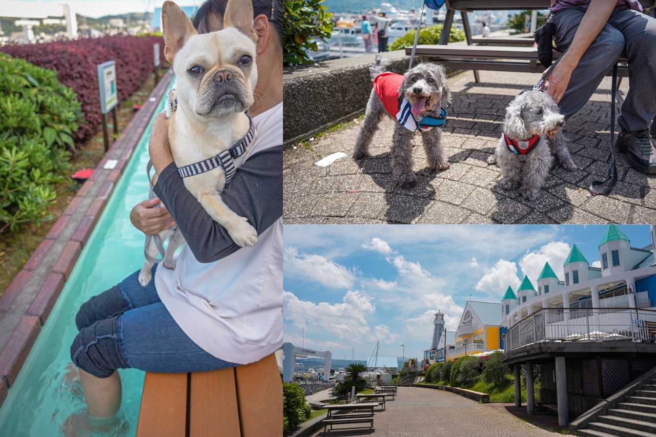 伊東マリンタウン