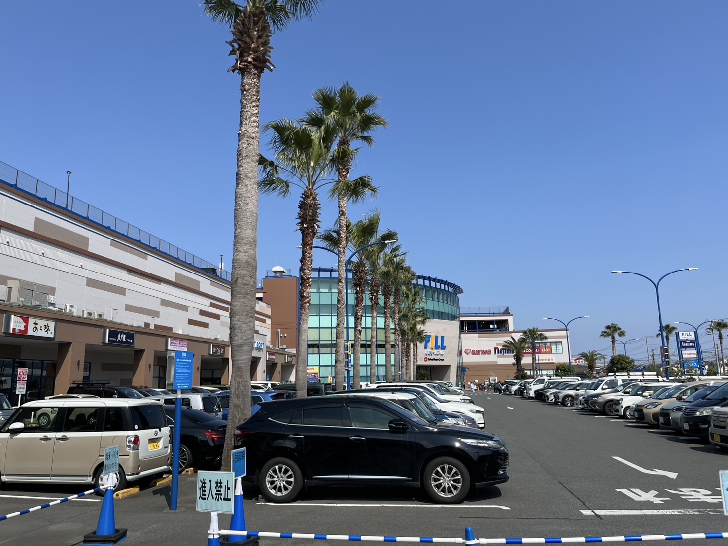 入口付近のヤシの木