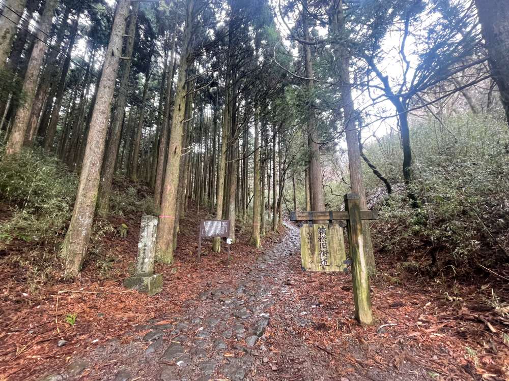 箱根旧街道